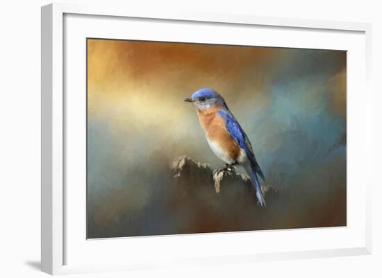 Bluebird on the Fence-Jai Johnson-Framed Giclee Print