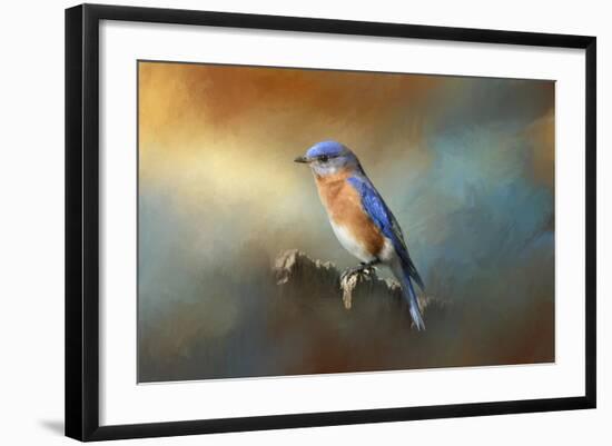 Bluebird on the Fence-Jai Johnson-Framed Giclee Print