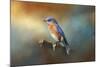 Bluebird on the Fence-Jai Johnson-Mounted Giclee Print