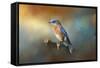 Bluebird on the Fence-Jai Johnson-Framed Stretched Canvas