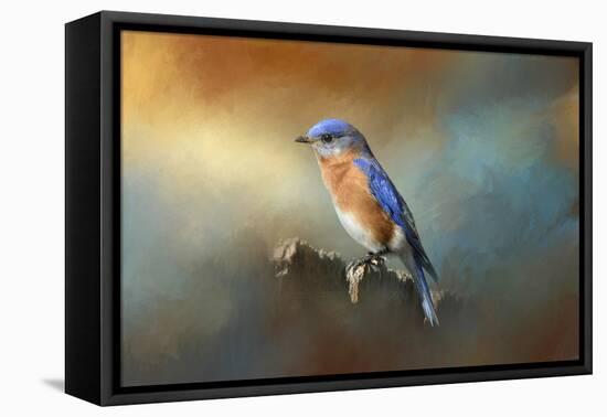 Bluebird on the Fence-Jai Johnson-Framed Stretched Canvas