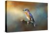 Bluebird on the Fence-Jai Johnson-Stretched Canvas