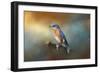 Bluebird on the Fence-Jai Johnson-Framed Giclee Print