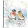 Bluebird Pair in Spring-Katrina Pete-Stretched Canvas