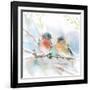 Bluebird Pair in Spring-Katrina Pete-Framed Art Print