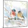 Bluebird Pair in Spring-Katrina Pete-Mounted Art Print