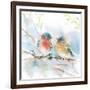 Bluebird Pair in Spring-Katrina Pete-Framed Art Print