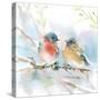 Bluebird Pair in Spring-Katrina Pete-Stretched Canvas