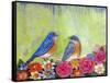 Bluebird Pair-null-Framed Stretched Canvas