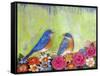 Bluebird Pair-null-Framed Stretched Canvas