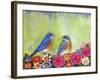 Bluebird Pair-null-Framed Art Print