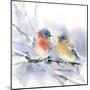 Bluebird Pair-Katrina Pete-Mounted Art Print