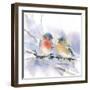 Bluebird Pair-Katrina Pete-Framed Art Print