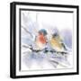 Bluebird Pair-Katrina Pete-Framed Art Print