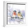 Bluebird Pair-Katrina Pete-Framed Art Print