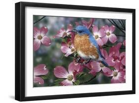 Bluebird/Pink Dogwood-William Vanderdasson-Framed Giclee Print