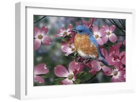 Bluebird/Pink Dogwood-William Vanderdasson-Framed Giclee Print