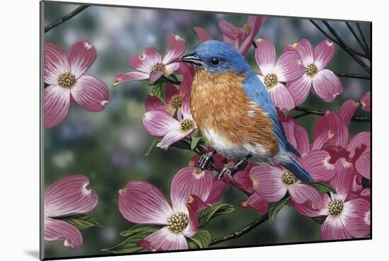 Bluebird/Pink Dogwood-William Vanderdasson-Mounted Giclee Print