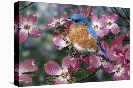 Bluebird/Pink Dogwood-William Vanderdasson-Stretched Canvas