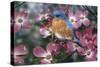 Bluebird/Pink Dogwood-William Vanderdasson-Stretched Canvas