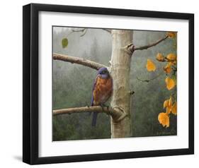 Bluebird Rain-Chris Vest-Framed Art Print