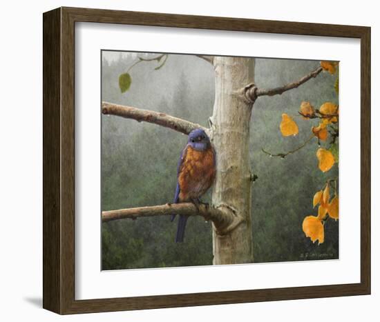 Bluebird Rain-Chris Vest-Framed Art Print