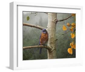 Bluebird Rain-Chris Vest-Framed Art Print