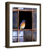 Bluebird Window-Chris Vest-Framed Art Print