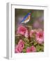 Bluebird with Hibiscus-William Vanderdasson-Framed Giclee Print