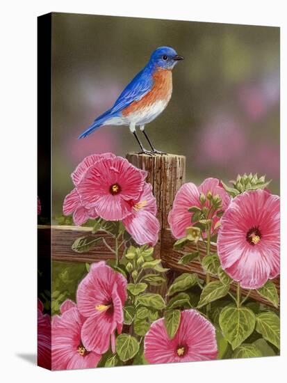 Bluebird with Hibiscus-William Vanderdasson-Stretched Canvas