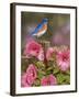 Bluebird with Hibiscus-William Vanderdasson-Framed Giclee Print