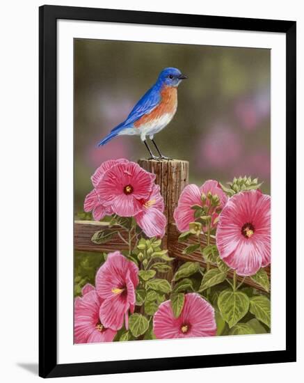 Bluebird with Hibiscus-William Vanderdasson-Framed Giclee Print