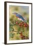 Bluebird-William Vanderdasson-Framed Giclee Print