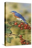 Bluebird-William Vanderdasson-Stretched Canvas