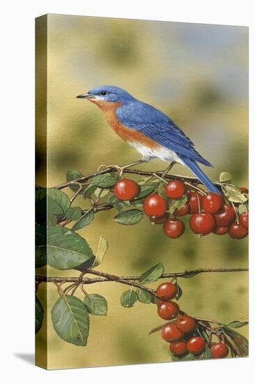 Bluebird-William Vanderdasson-Stretched Canvas