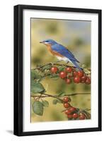 Bluebird-William Vanderdasson-Framed Giclee Print