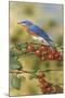 Bluebird-William Vanderdasson-Mounted Giclee Print