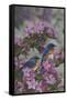 Bluebirds and Spring Blossoms-Jeffrey Hoff-Framed Stretched Canvas