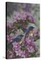 Bluebirds and Spring Blossoms-Jeffrey Hoff-Stretched Canvas