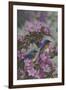 Bluebirds and Spring Blossoms-Jeffrey Hoff-Framed Photographic Print