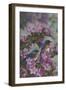 Bluebirds and Spring Blossoms-Jeffrey Hoff-Framed Photographic Print