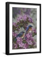 Bluebirds and Spring Blossoms-Jeffrey Hoff-Framed Photographic Print