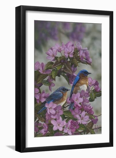 Bluebirds and Spring Blossoms-Jeffrey Hoff-Framed Photographic Print