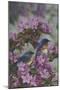 Bluebirds and Spring Blossoms-Jeffrey Hoff-Mounted Photographic Print