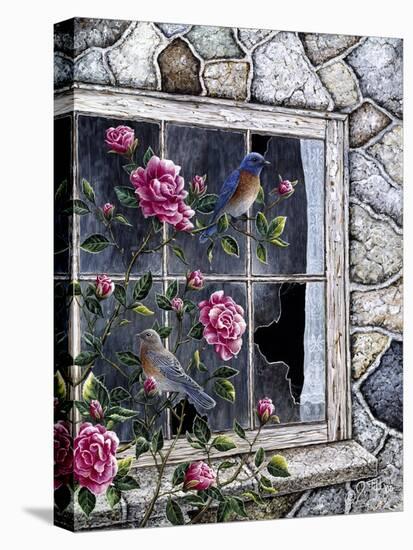 Bluebirds in Window-Jeff Tift-Stretched Canvas