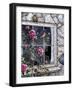 Bluebirds in Window-Jeff Tift-Framed Giclee Print