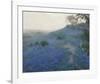 Bluebonnet Field, Early Morning, San Antonio Texas-null-Framed Giclee Print