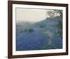 Bluebonnet Field, Early Morning, San Antonio Texas-null-Framed Giclee Print