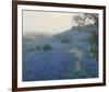 Bluebonnet Field, Early Morning, San Antonio Texas-null-Framed Giclee Print