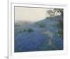 Bluebonnet Field, Early Morning, San Antonio Texas-null-Framed Giclee Print